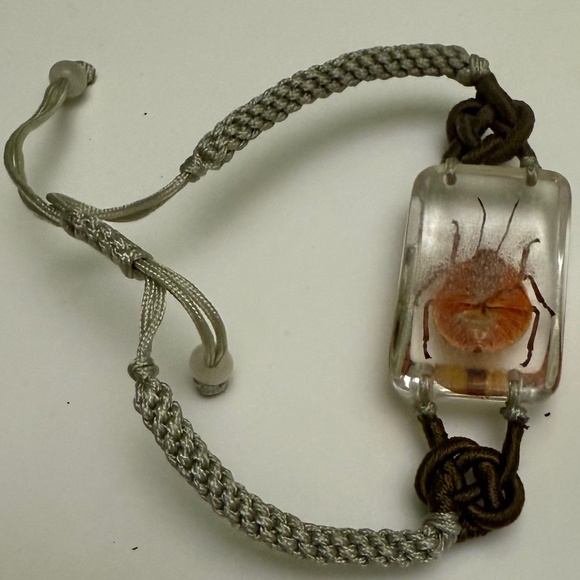 Flower Bug Bracelet - Real Insect Jewelry encased in Resin - Picture 3 of 4